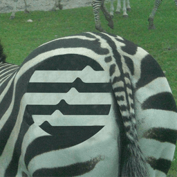 Zebra Aptos BUTT