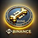 BinanceOneToken