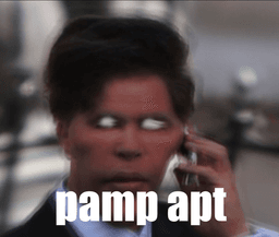 pump apt