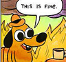 THIS IS FINE