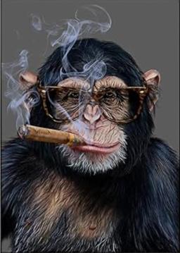 Monkey Pipe Smoker